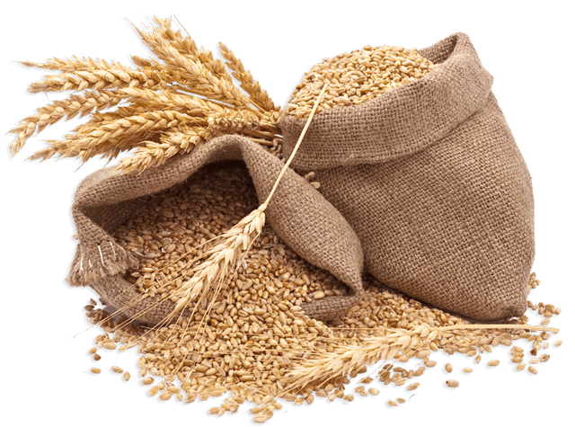 Bolsa de granos de salvado de trigo.